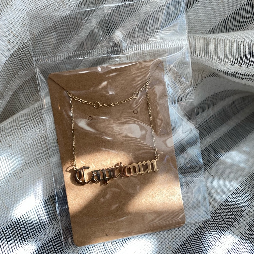 Capricorn ♑️ Necklace